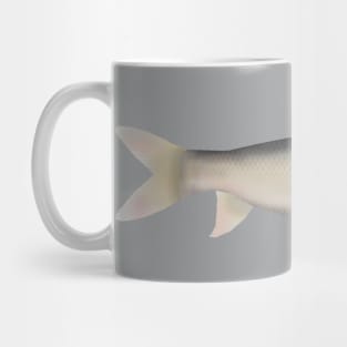 Small Scale Mud Carp Mug